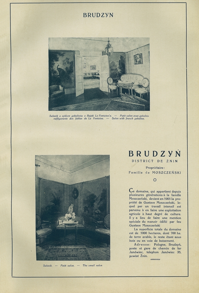 013 brudzyn.jpg